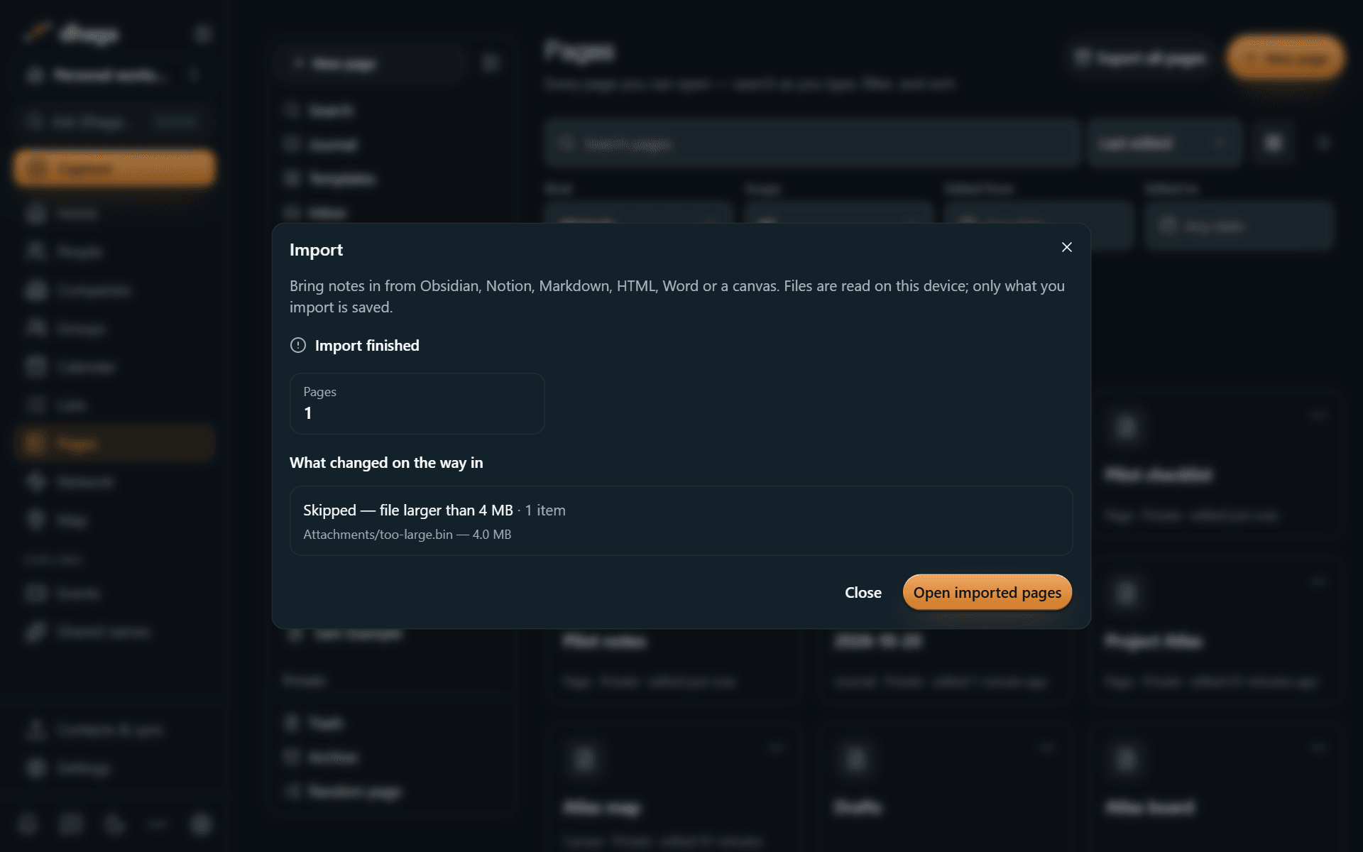 The import report listing what came in and every skipped item with the reason