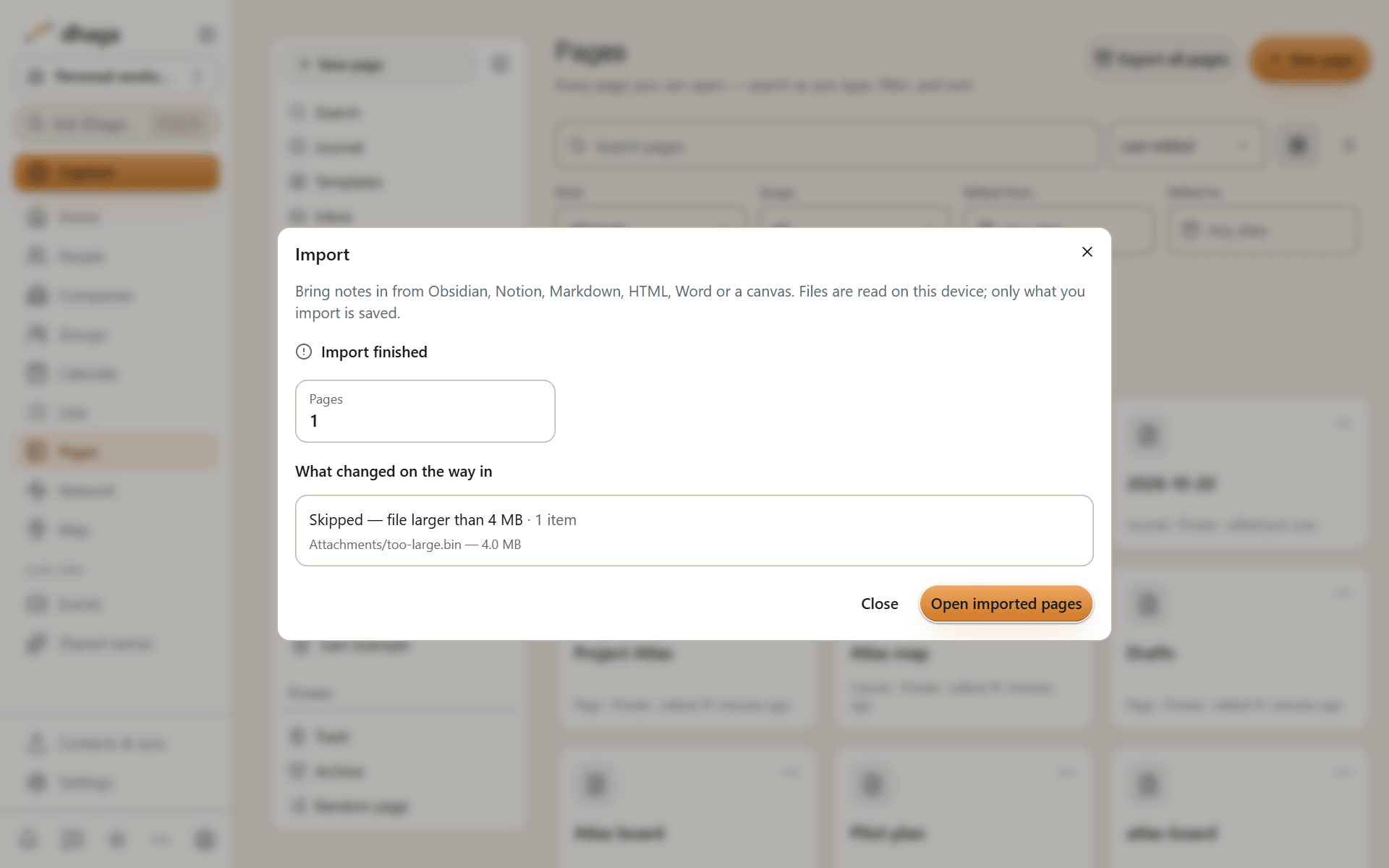 The import report listing what came in and every skipped item with the reason
